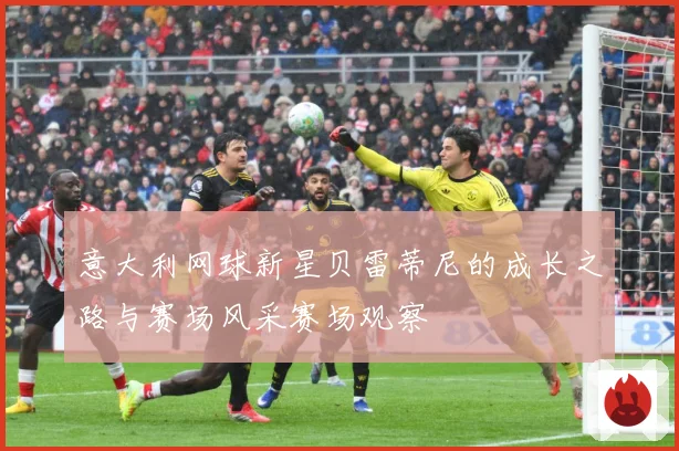 意大利网球新星贝雷蒂尼的成长之路与赛场风采赛场观察