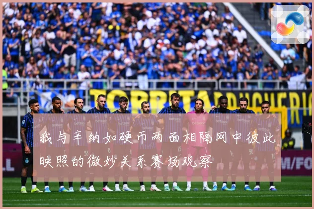 我与辛纳如硬币两面相隔网中彼此映照的微妙关系赛场观察