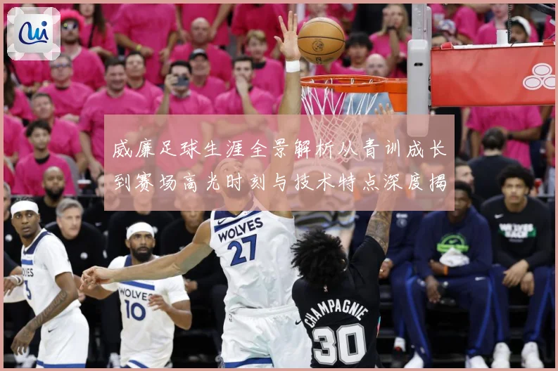 威廉足球生涯全景解析从青训成长到赛场高光时刻与技术特点深度揭秘