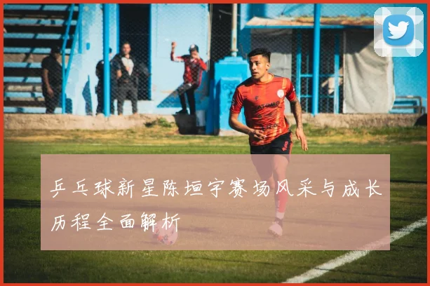 乒乓球新星陈垣宇赛场风采与成长历程全面解析