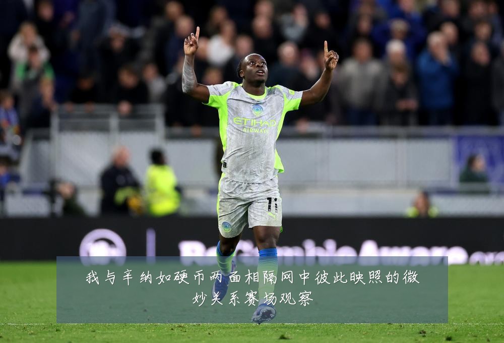 我与辛纳如硬币两面相隔网中彼此映照的微妙关系赛场观察
